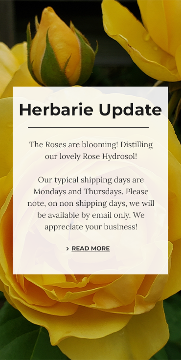 The Herbarie update