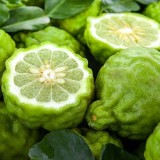 Bergamot FCF Essential Oil