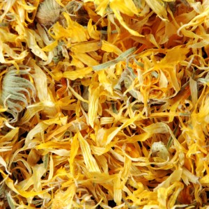 Calendula Extract WS