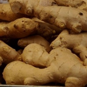 Ginger Root Hydrosol