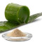 Aloe Vera Spray Dried Powder 200X - 1 pound - $143.00