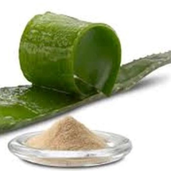 Aloe Vera Spray Dried Powder 200X 100 Organic Certified > Nutrients