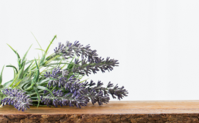 lavendar on table